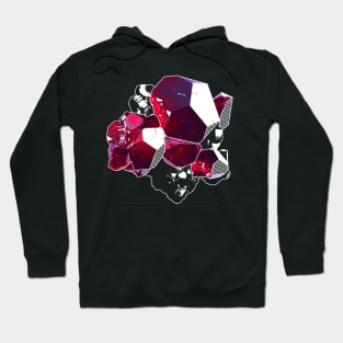 Ruby Hoodie